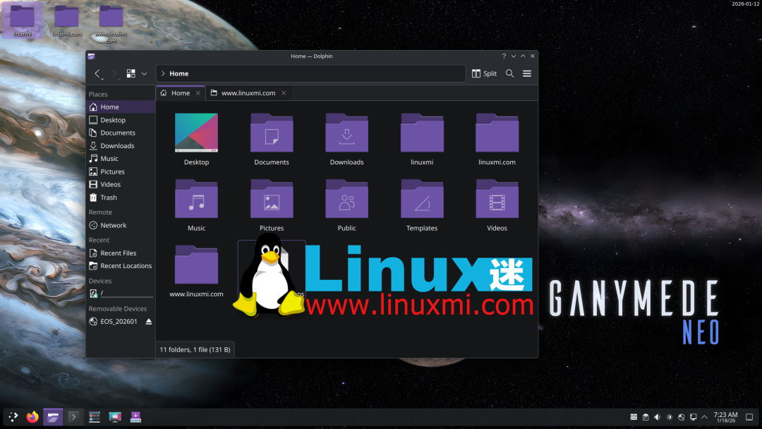 Ganymede Neo 文件管理器界面