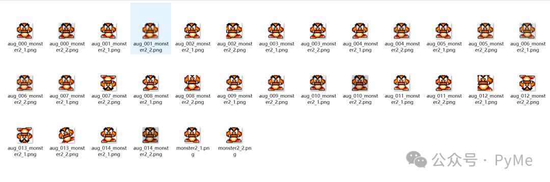 monster2文件夹数据增强结果