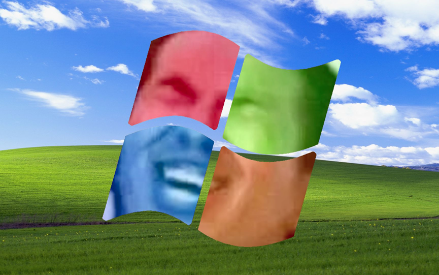 恶搞Windows XP壁纸，四个窗格内填充模糊人脸特写