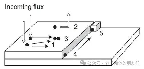 分子束外延过程的基本步骤示意图