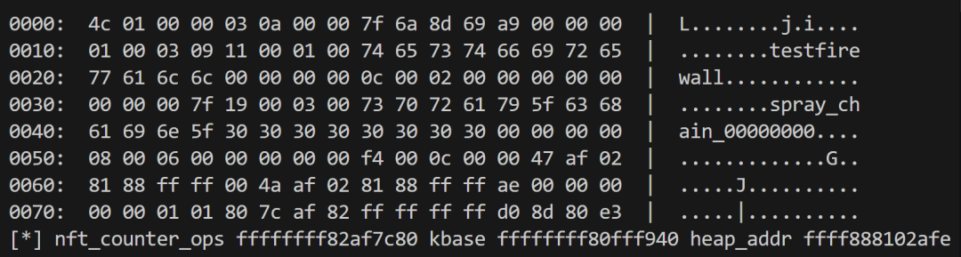 nft_expr 结构体在内存中的布局