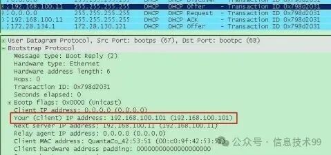 DHCP Offer报文详情，显示分配的IP地址