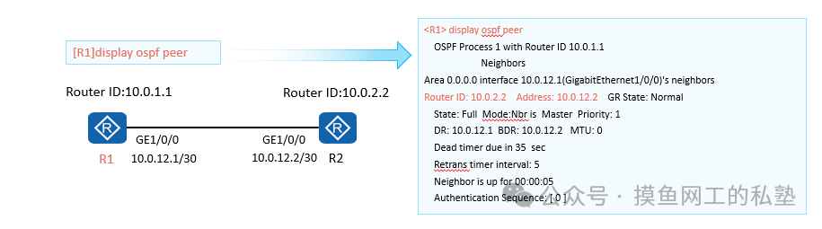 OSPF邻居表与拓扑示意图