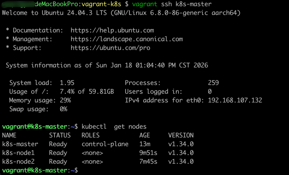 SSH连接至K8s主节点并查看集群节点状态