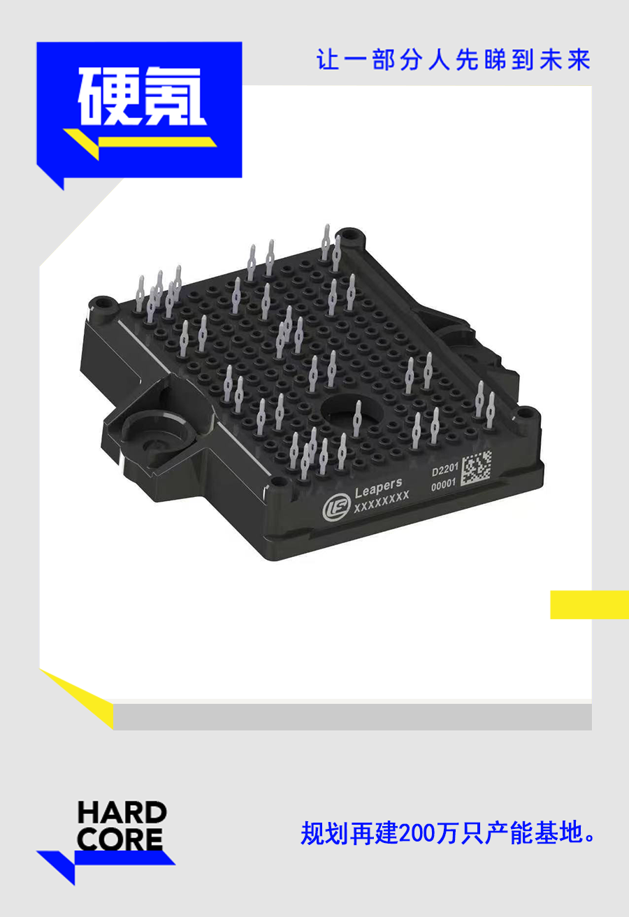 利普思D2201系列SiC模块产品图