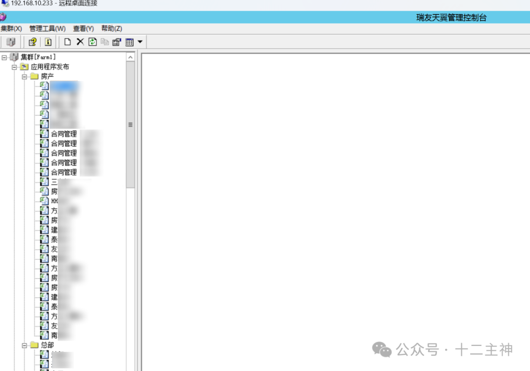 10.233服务器瑞友天翼控制台,显示大量已发布应用