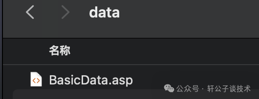 data目录下的BasicData.asp文件