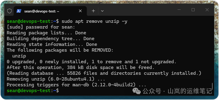 Ubuntu 系统执行 sudo apt remove unzip 命令的卸载过程