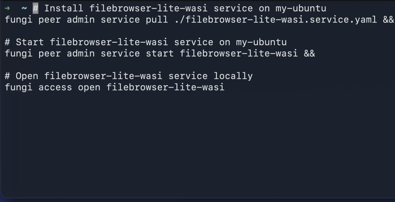 部署并访问远程 filebrowser-lite-wasi 服务