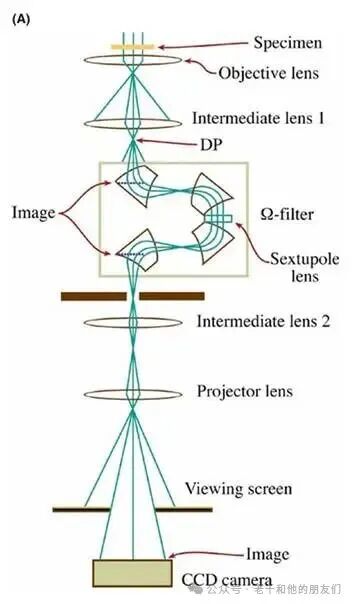 镜筒内Ω过滤器示意图
