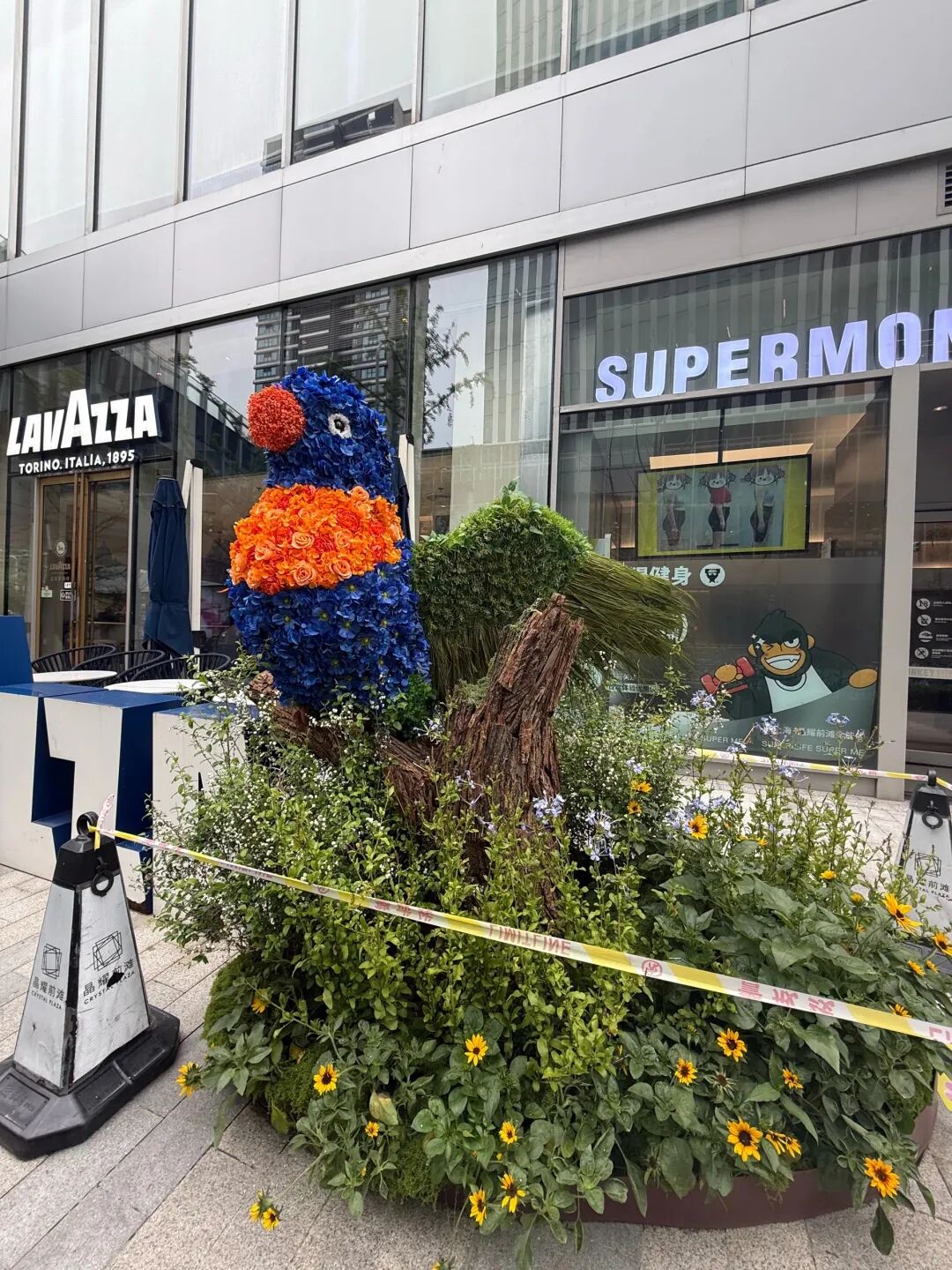 鹦鹉造型花卉装饰