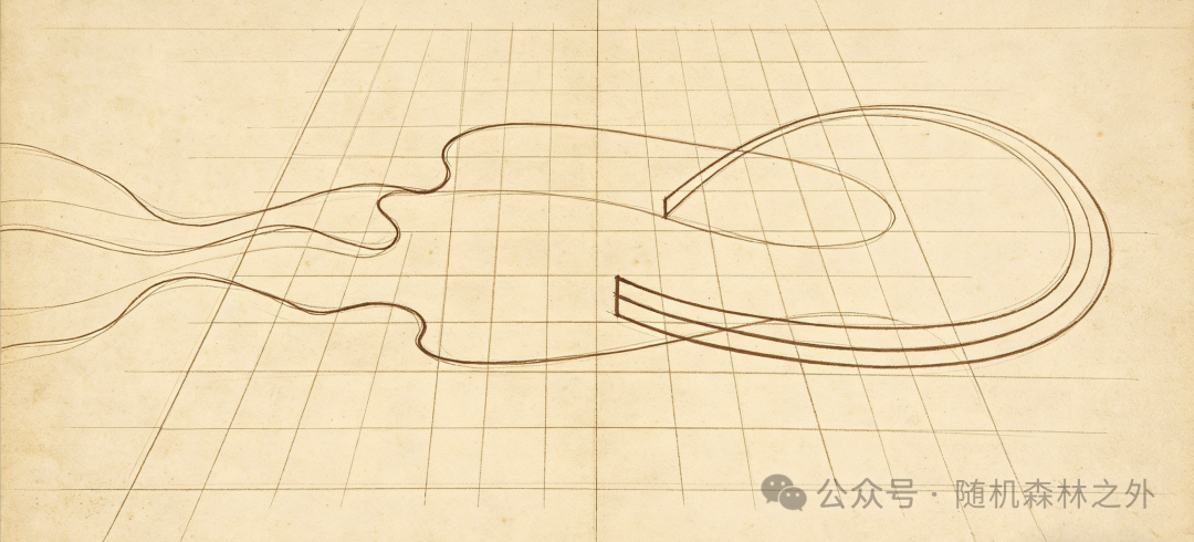 描述极端市场行情波动形态的示意图