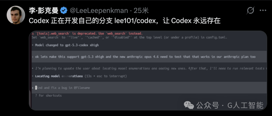 Codex 分支开发及终端指令截图
