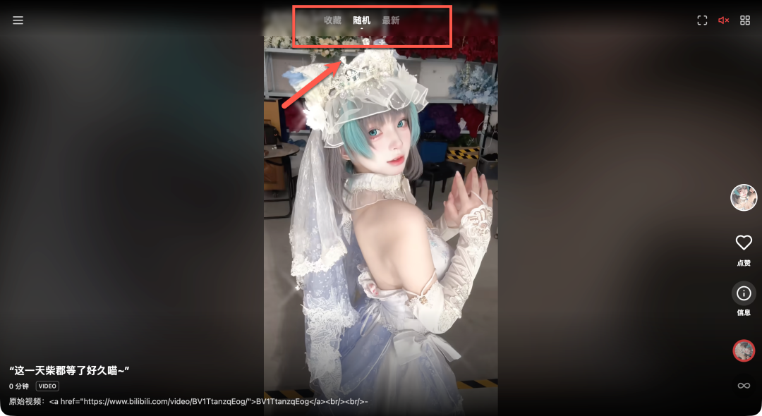 EmbyTok收藏夹内容浏览