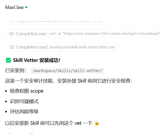 Skill Vetter安全审计工具安装成功后的终端提示截图