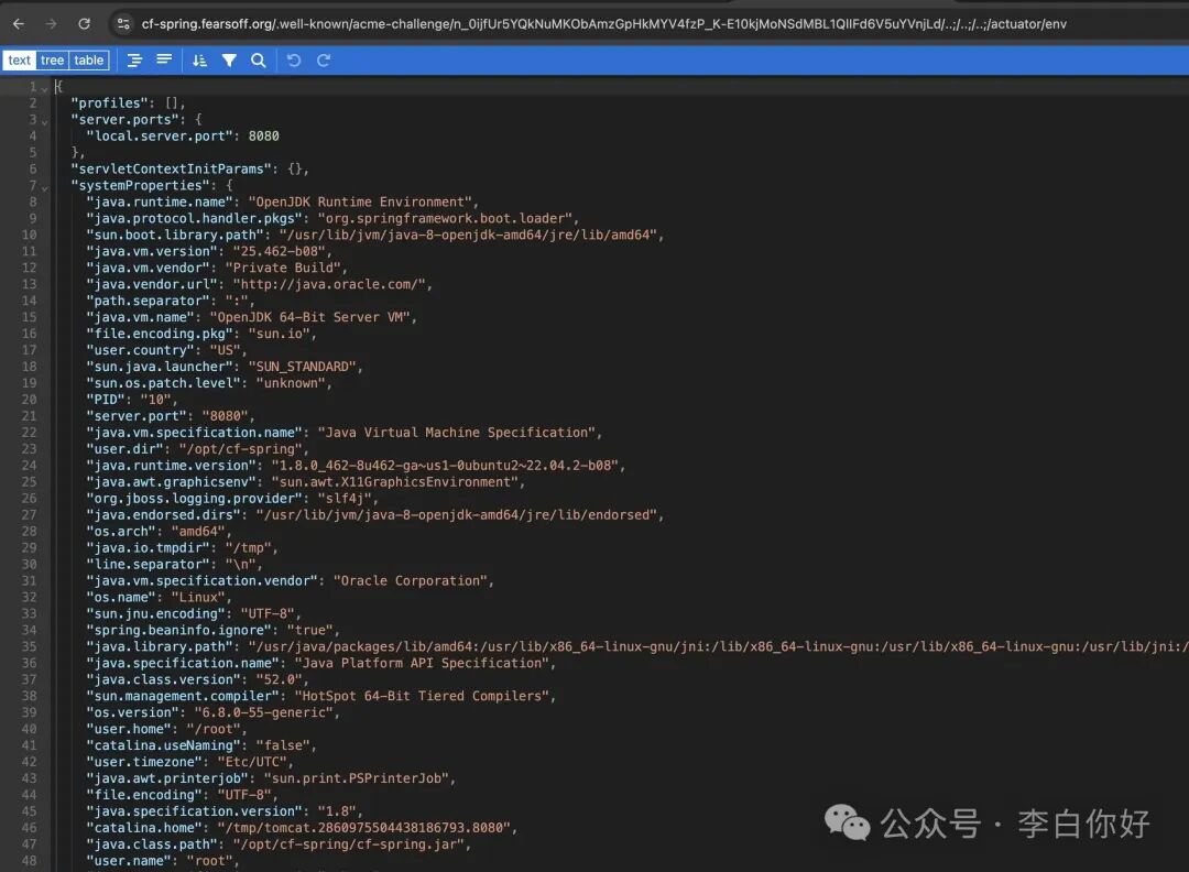 Spring Boot Actuator env端点泄露的环境变量信息
