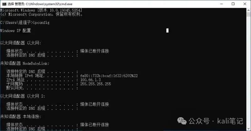 Windows命令行查看IP配置