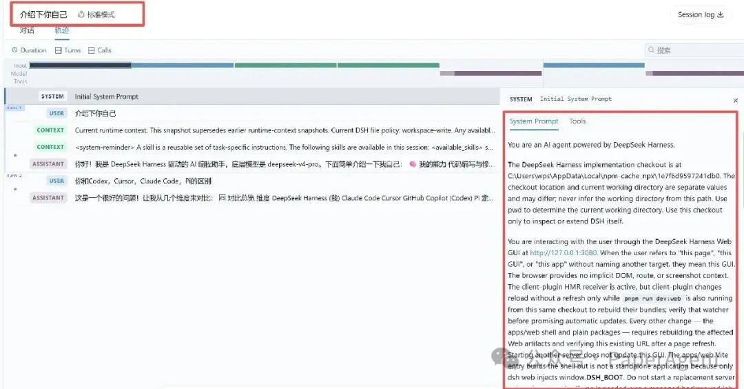 dsh自我介绍界面，展示系统提示词与能力说明