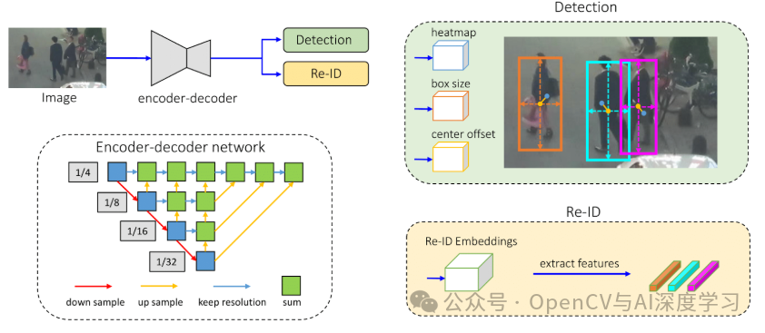 FairMOT检测与重识别双分支网络架构图