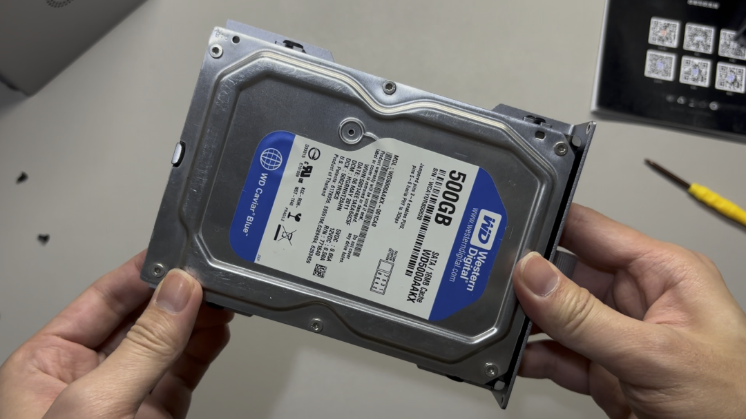 手拿西部数据500GB 3.5寸硬盘