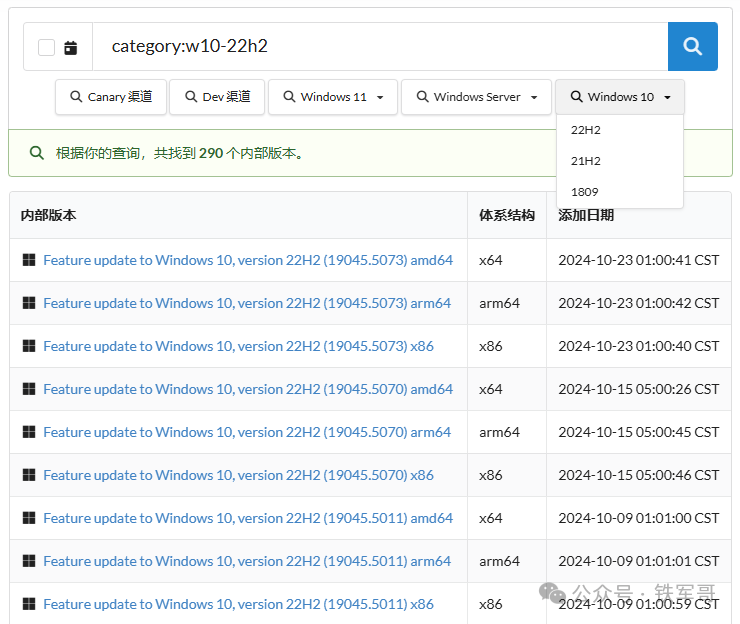 Windows 10 22H2 内部版本查询结果
