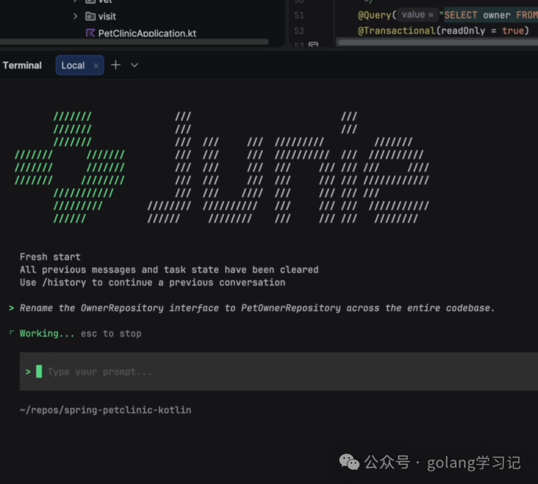 终端中通过命令重命名代码中的Repository接口