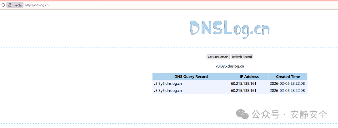 DNSLog平台接收到查询记录