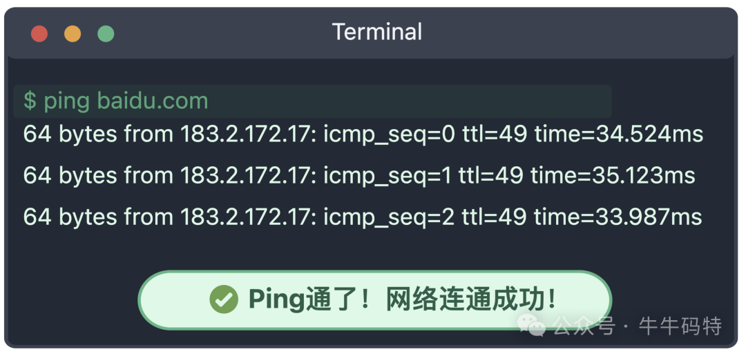 ping命令成功输出示例