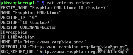 终端中cat /etc/os-release命令的输出，显示详细的发行版信息
