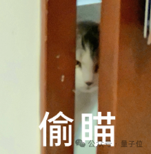 一只猫从门缝中探出头,表情警觉