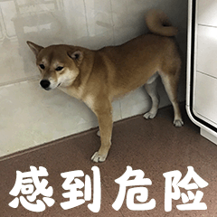 看到错误连接电源的后果感到危险