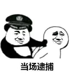 当场逮捕表情包