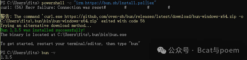 Windows PowerShell中安装Bun时遇到的连接错误