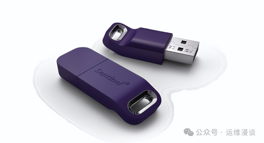 两只紫色Sentinel品牌U盘斜放在白色背景上,可见USB-A接口标识