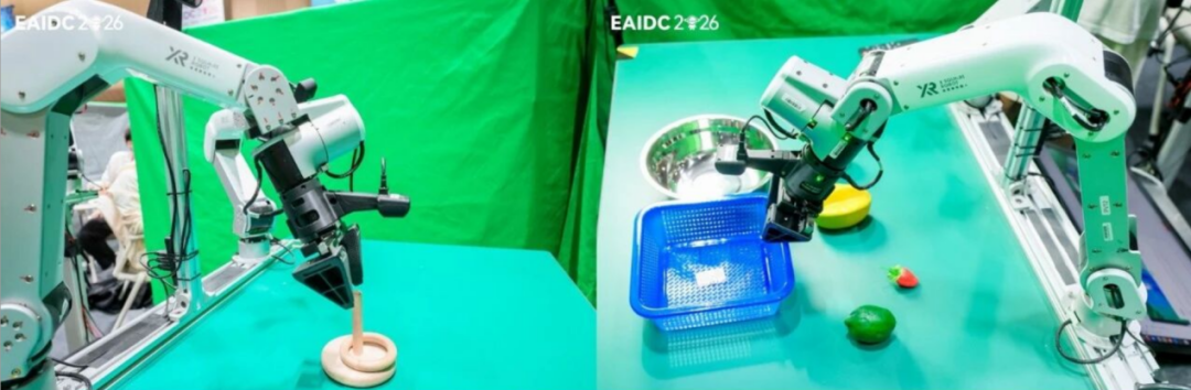 将圆环套在柱子上(左);按指令分类水果(右)