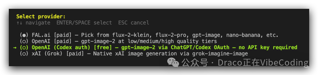 选择OpenAI Codex auth提供者