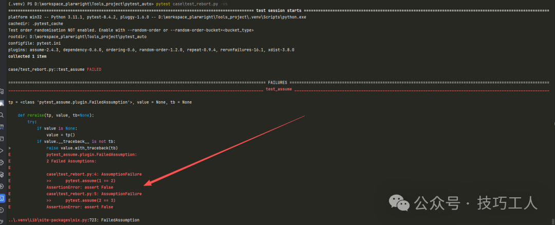 pytest.assume执行所有断言