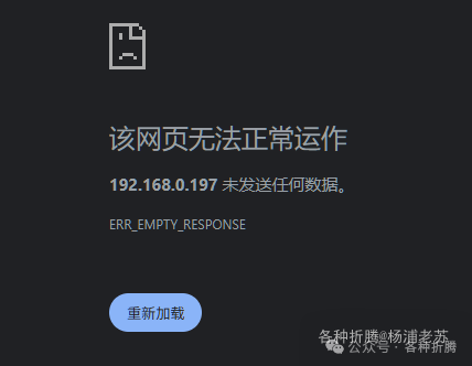 Docker容器启动错误页面