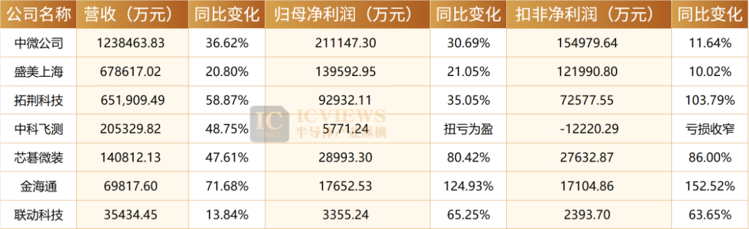 2025年部分半导体设备上市公司财务数据表格