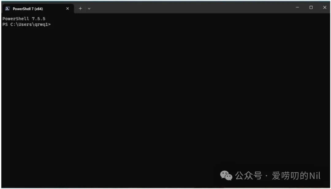 PowerShell 7.5.5 终端运行界面