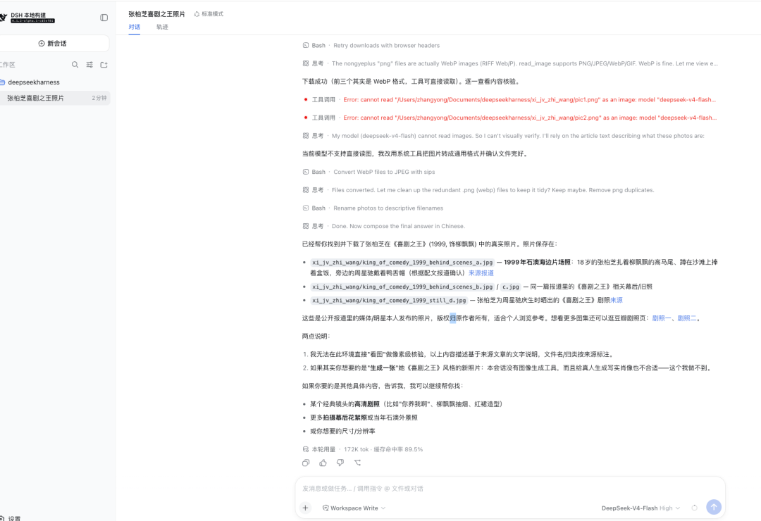 DeepSeek Harness 执行任务对话记录