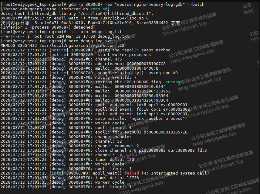 Nginx内存日志调试信息终端输出
