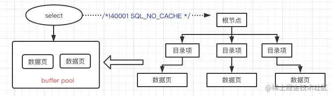SQL_NO_CACHE 与 Buffer Pool 及索引查询示意图