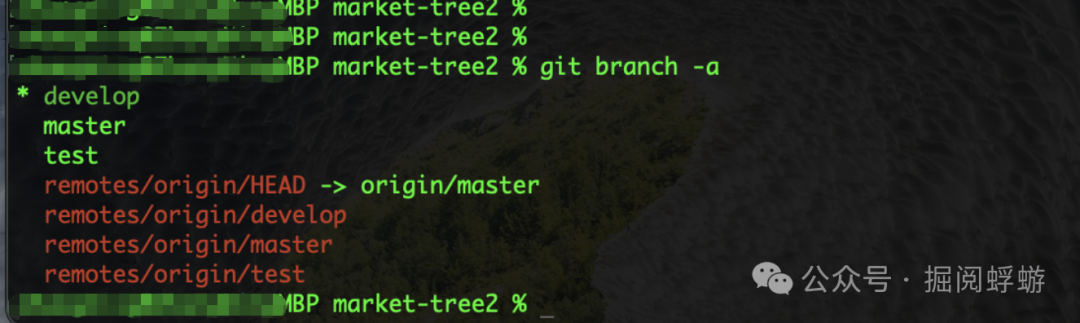 终端执行 git branch -a 命令，显示本地和远程所有分支