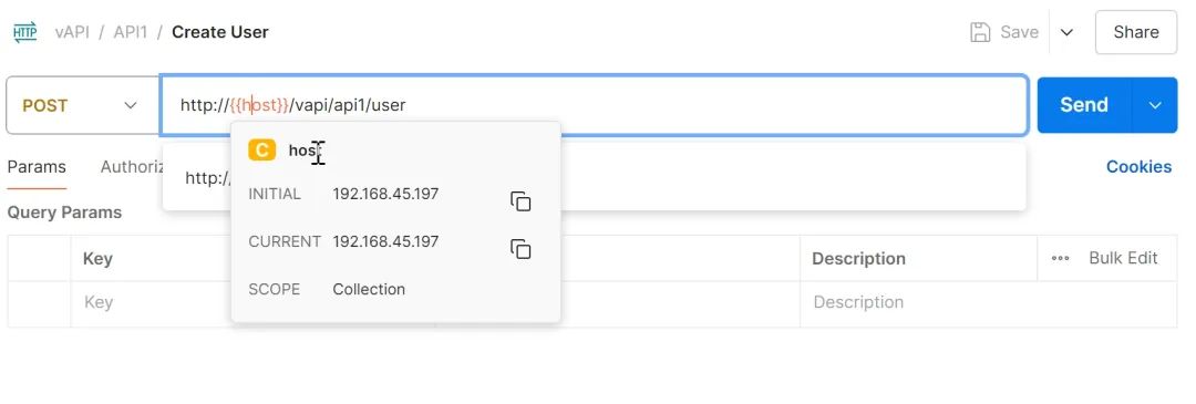 Postman请求配置界面，设置host变量