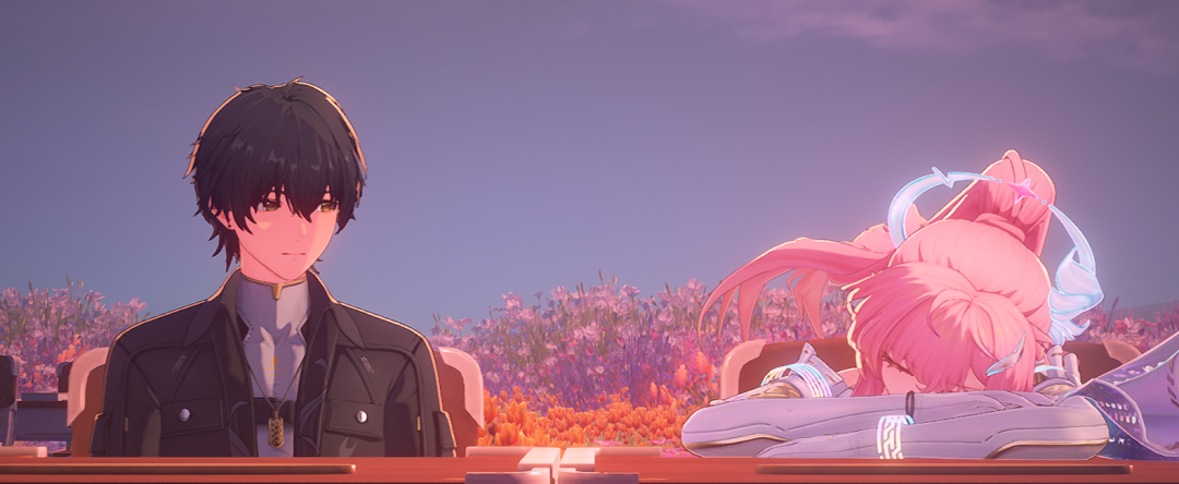 漂泊者与爱弥斯在花海中静谧相处的插画