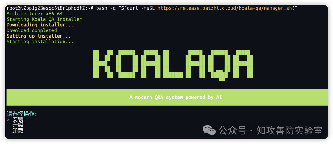 安装脚本执行界面