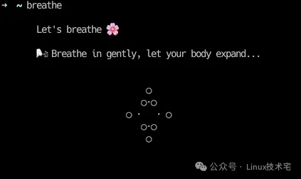 Zenta工具呼吸指导界面示例