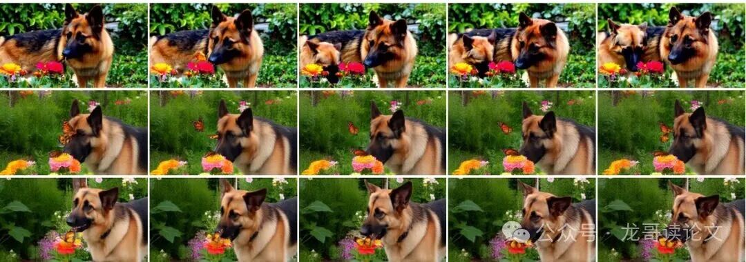 使用MonarchRT方法生成的高质量视频画面示例