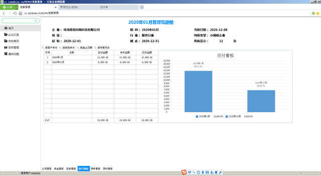 Excel思维结合无代码平台：构建企业级财务管理系统的实战指南 - 图片 - 4